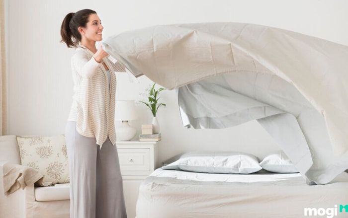 Cách bảo vệ nhà khỏi sự xâm nhập của rắn hiệu quả
