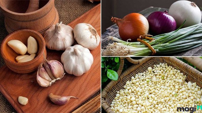 Cách xua đuổi rắn khỏi nhà hiệu quả