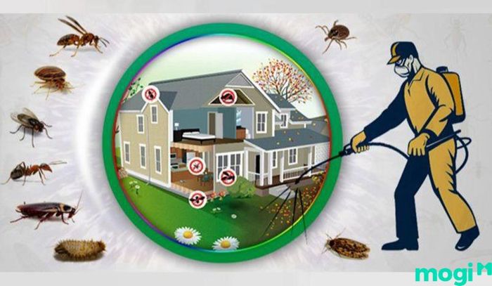 Bạn có thể tìm đến sự hỗ trợ của các chuyên gia về côn trùng để giải quyết vấn đề ong hiệu quả hơn.