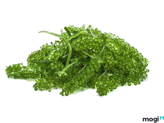 cách bảo quản rong nho