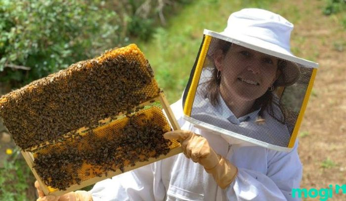 Cần chuẩn bị đầy đủ trang phục bảo vệ khi thực hiện các biện pháp đuổi ong.