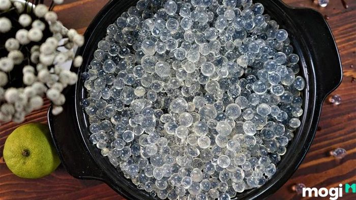 Hướng Dẫn Bảo Quản Trân Châu
