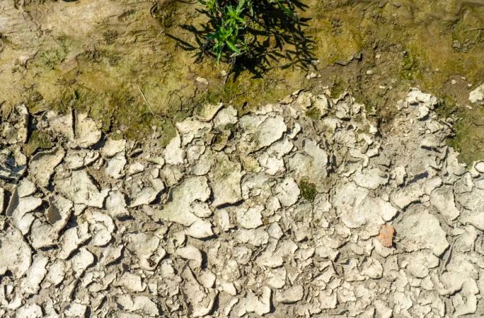 In Italy, some parts of the Po River have become unnavigable due to the extreme low water levels.