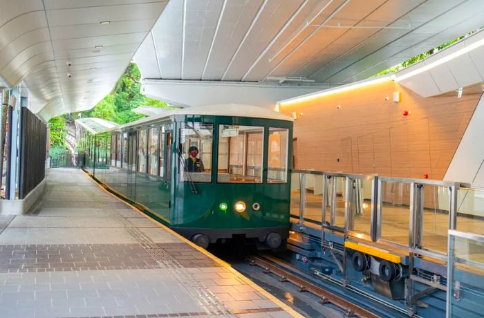 The new sixth-generation tram cars have replaced the previous dark-red models.