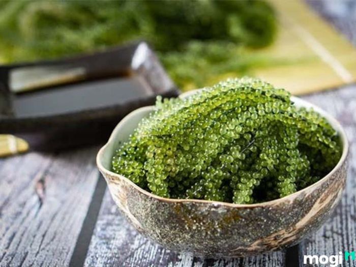cách bảo quản rong nho