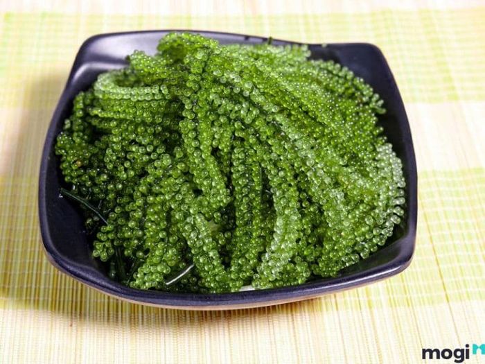 cách bảo quản rong nho
