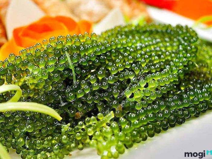 cách bảo quản rong nho
