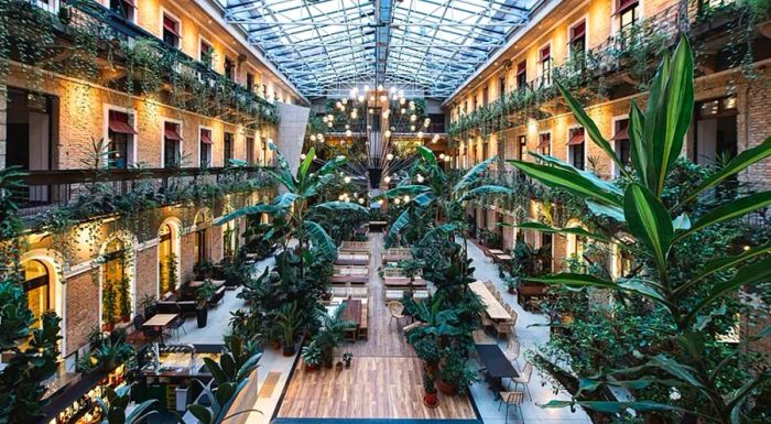 Surrounded by approximately 34 different plant species, Twentysix Budapest is often referred to as an urban jungle.