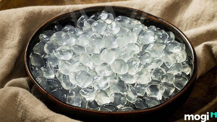 Hướng Dẫn Bảo Quản Trân Châu