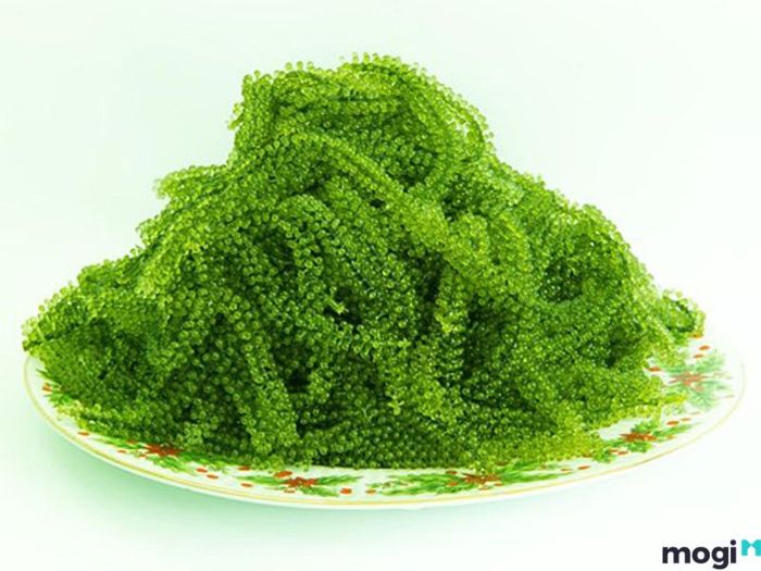 cách bảo quản rong nho
