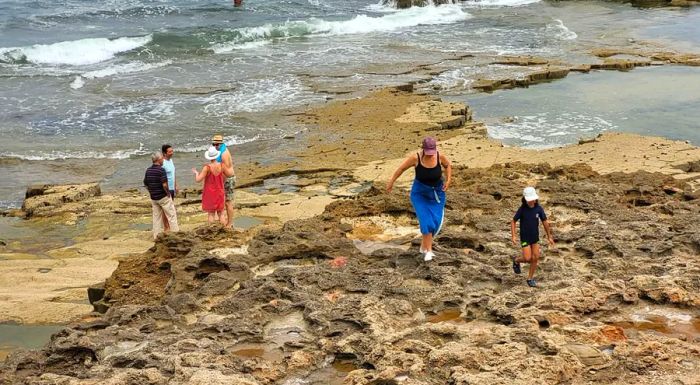 The author's extended family owns property on a rugged promontory in Dar Bouazza, a coastal area just west of Casablanca.