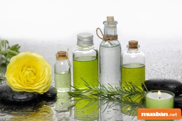 Đồ dùng organic là sản phẩm rất được yêu thích tại Đà Lạt