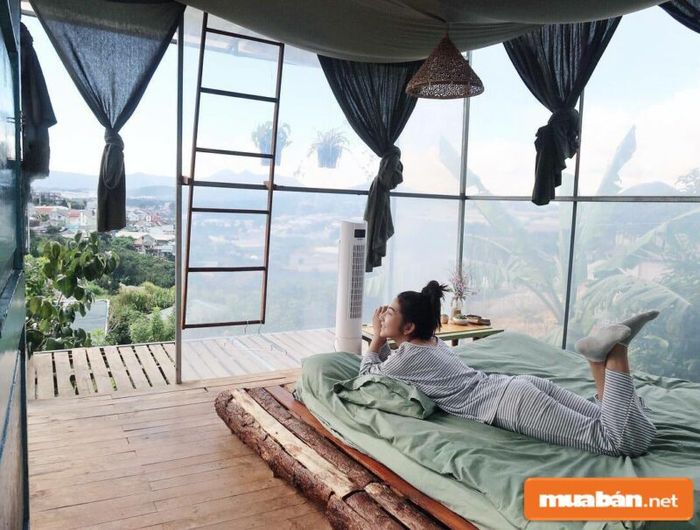 Đà Lạt là nơi lý tưởng để hiện thực hóa những ý tưởng kinh doanh sáng tạo của bạn