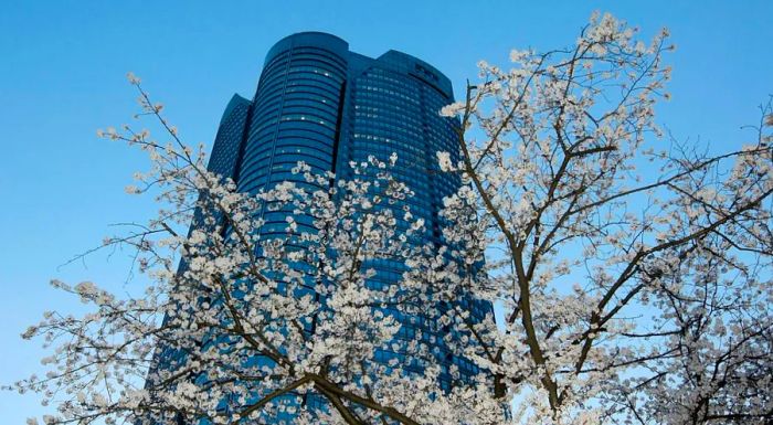 Roppongi Hills reshaped the city’s skyline forever.