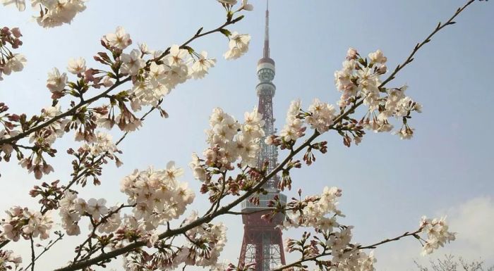 Tokyo's emblematic tower.