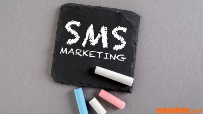 SMS Marketing là gì và các hình thức SMS Marketing hiệu quả phổ biến