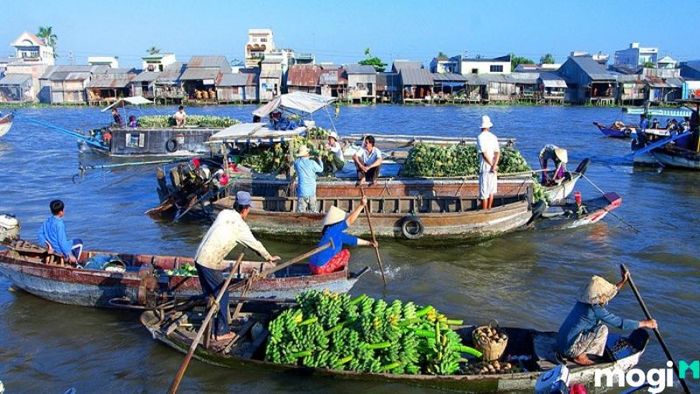 Chợ đêm Cần Thơ