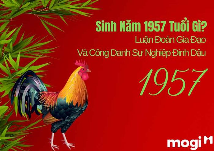 Nữ sinh năm 1957 là tuổi gì? Cùng luận giải về gia đạo và sự nghiệp của nữ Đinh Dậu.