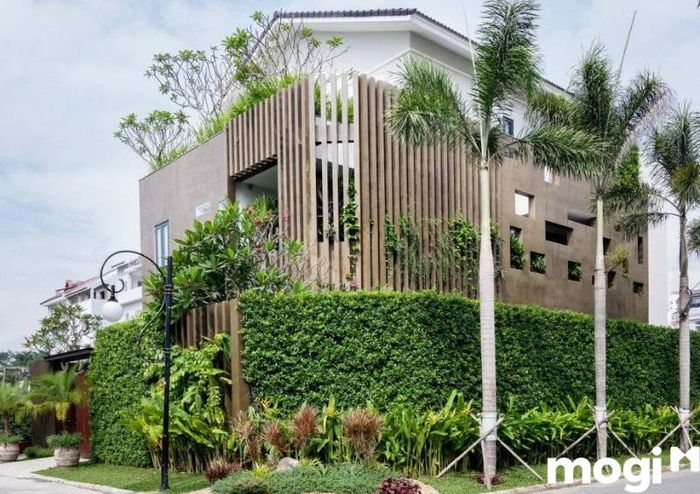 Mẫu tường rào biệt thự phong cách Tropical