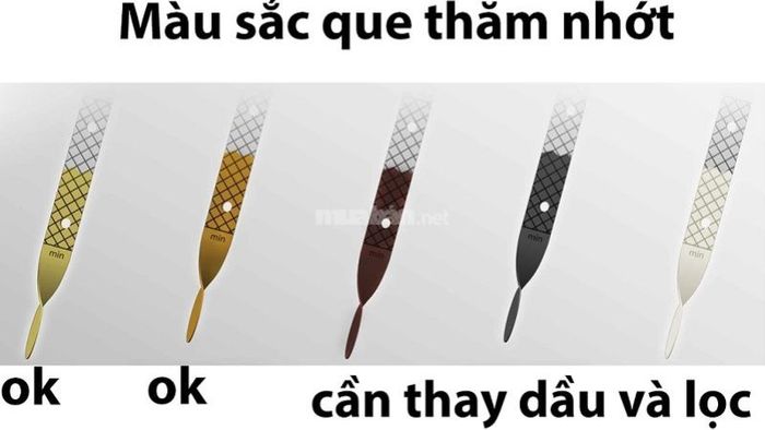 Dựa vào màu sắc của dầu nhớt để quyết định xem có cần thay nhớt xe Vision hay không