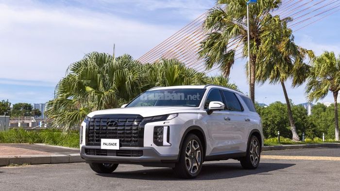 Khám phá dòng xe Hyundai Palisade - Nguồn: Internet