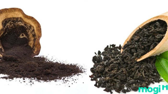 Loại bỏ mùi sơn trong không gian mới