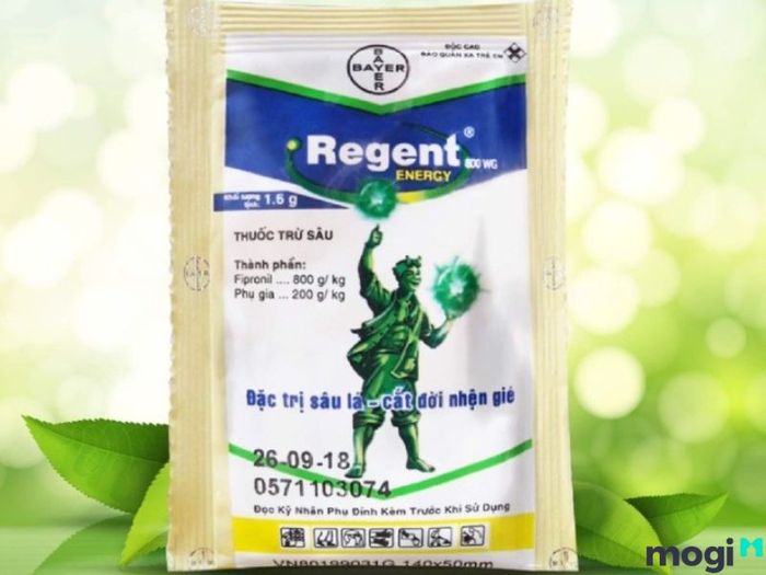 cách đuổi kiến cánh