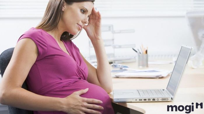 Loại bỏ mùi sơn trong không gian mới