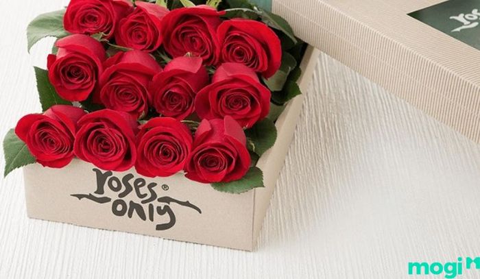 Số lượng hoa bạn chọn để tặng người yêu có thể phản ánh được mức độ quan trọng và chân thành trong tình cảm của bạn.
