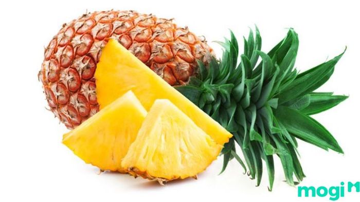 khử mùi sơn nhà mới