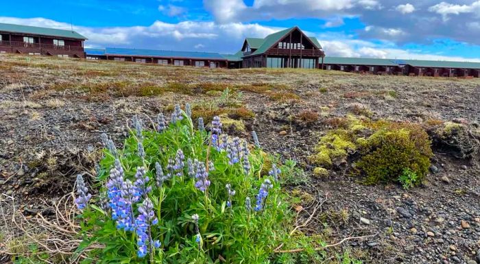 Hotel Rangá in Hella, Iceland, offers a variety of outdoor activities for adventure seekers.