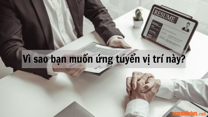 Cách trả lời câu hỏi phỏng vấn: Tại sao bạn lại muốn ứng tuyển vào vị trí này?