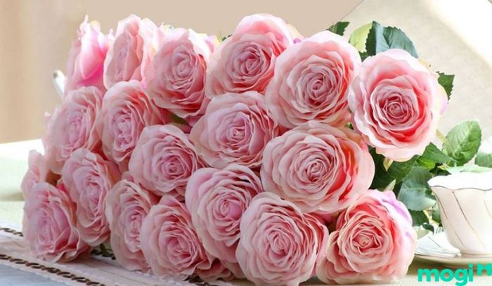 Lựa chọn hoa tặng người yêu không chỉ đơn thuần là món quà, mà là cách bày tỏ tình cảm sâu sắc của bạn.