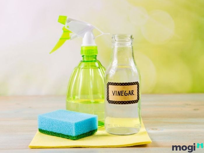 cách đuổi kiến cánh