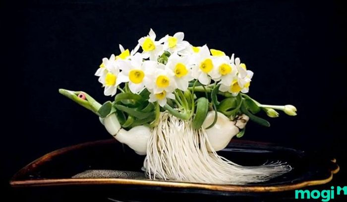 Hoa thủy tiên trắng là một sự lựa chọn tuyệt vời trong các loại hoa dành tặng người yêu