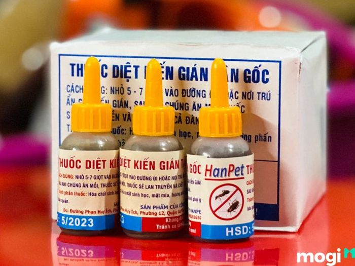 cách đuổi kiến cánh
