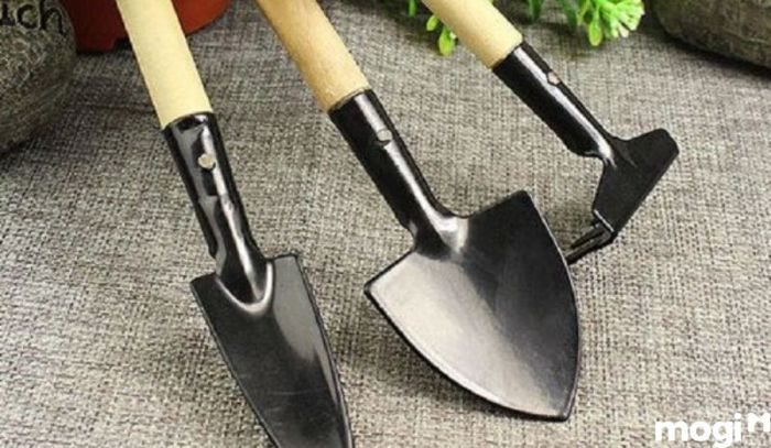 Các dụng cụ cần thiết khi trồng rau trên sân thượng bao gồm cuốc, xẻng, dao kéo làm vườn.