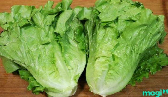 Xà lách là một lựa chọn lý tưởng để trồng trên sân thượng.