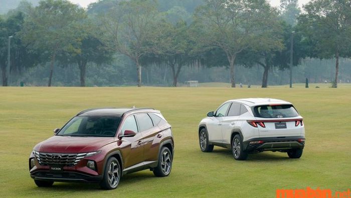 Phần đầu xe của Hyundai Tucson 2023