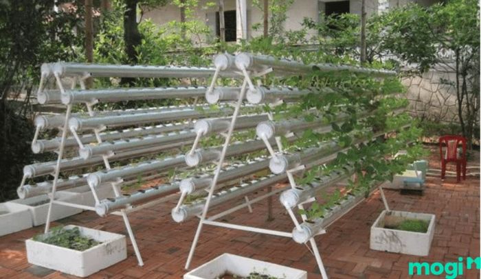 Sử dụng thiết kế giàn hình chữ A để trồng rau là lựa chọn hợp lý cho sân thượng với không gian hạn chế.