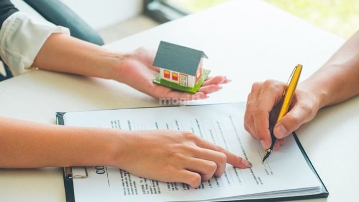 Xem xét kỹ lưỡng hợp đồng thuê