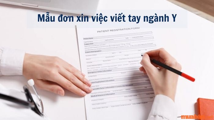 Mẫu đơn xin việc viết tay cho ngành Y tế