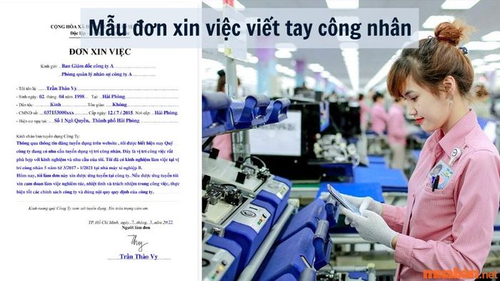 Mẫu đơn xin việc viết tay cho công nhân