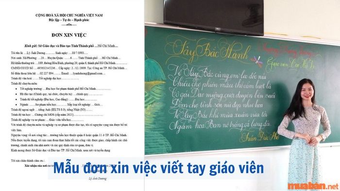 Mẫu đơn xin việc viết tay cho giáo viên