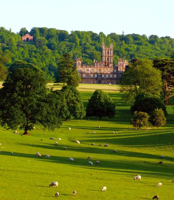 Highclere Castle is home to a variety of animals, including sheep, red deer, and seven lovable labradors.