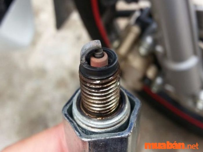 Bảo dưỡng xe máy