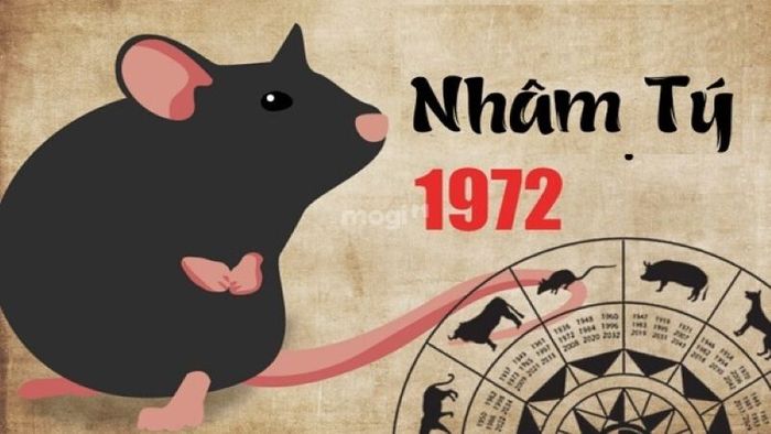 Thông tin tổng quan về tuổi Nhâm Tý