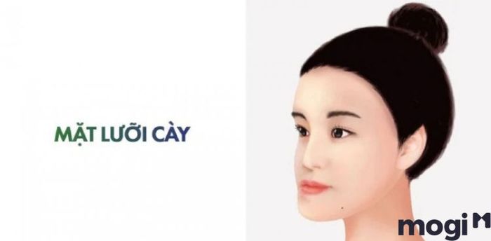 Coi tướng mặt lưỡi cày