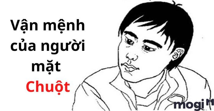 Xem tướng mặt chuột