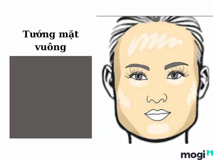 Tướng mặt vuông